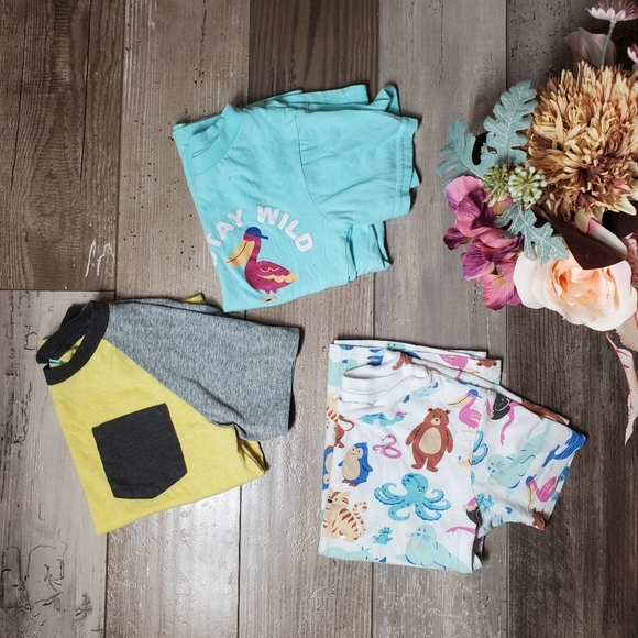 Alex & Jack and Garanimals Size 4T Boys Short Sleeve Casual T-Shirt Bundle GUC - Picture 12 of 15